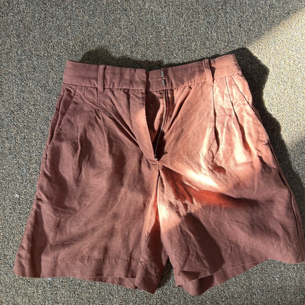 Aritzia Shorts